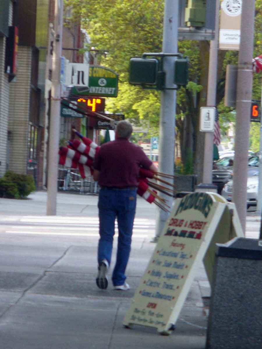 Veteran carrying flag by Susan Fluegel